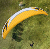 Swing Arcus RS